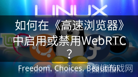 如何在《高速浏览器》中启用或禁用WebRTC？