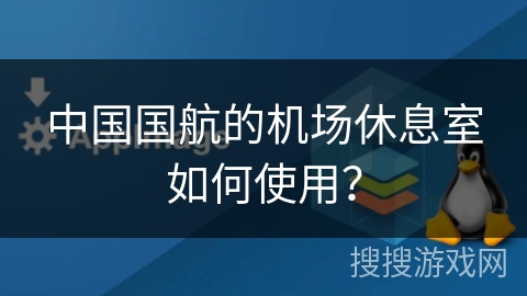 中国国航的机场休息室如何使用？