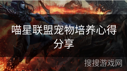 喵星联盟宠物培养心得分享