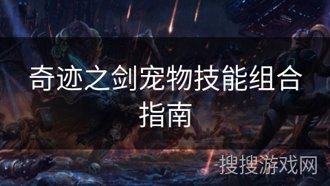 奇迹之剑宠物技能组合指南