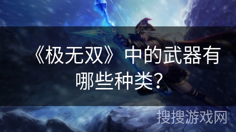 《极无双》中的武器有哪些种类？