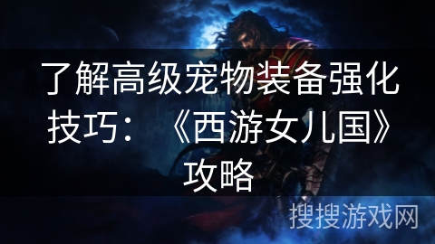 了解高级宠物装备强化技巧：《西游女儿国》攻略