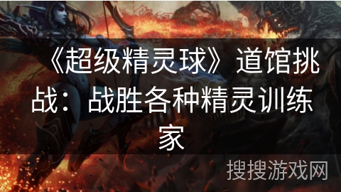 《超级精灵球》道馆挑战：战胜各种精灵训练家