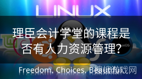 理臣会计学堂的课程是否有人力资源管理？