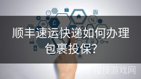 顺丰速运快递如何办理包裹投保？