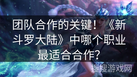团队合作的关键！《新斗罗大陆》中哪个职业最适合合作？