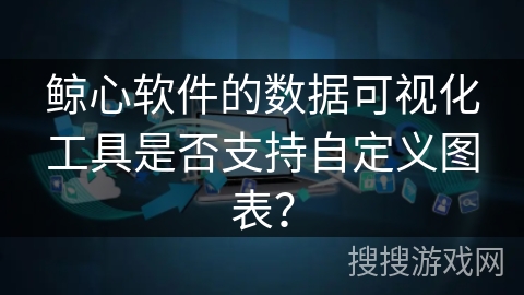 鲸心软件的数据可视化工具是否支持自定义图表？