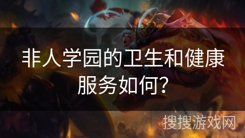 非人学园的卫生和健康服务如何？
