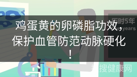 鸡蛋黄的卵磷脂功效，保护血管防范动脉硬化！