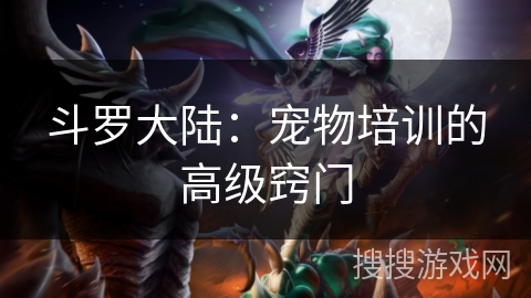斗罗大陆：宠物培训的高级窍门