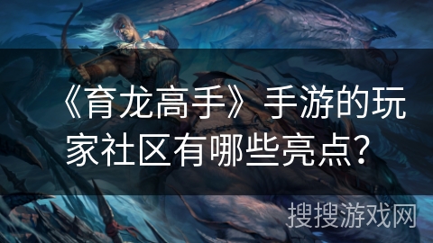 《育龙高手》手游的玩家社区有哪些亮点？