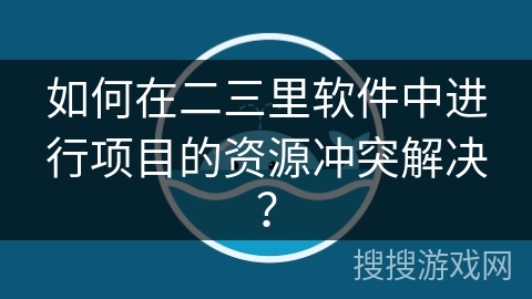 如何在二三里软件中进行项目的资源冲突解决？