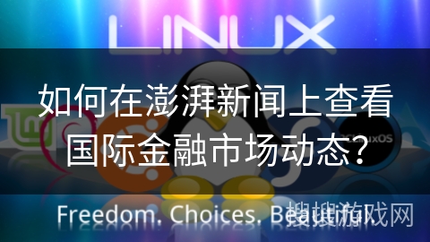 如何在澎湃新闻上查看国际金融市场动态？