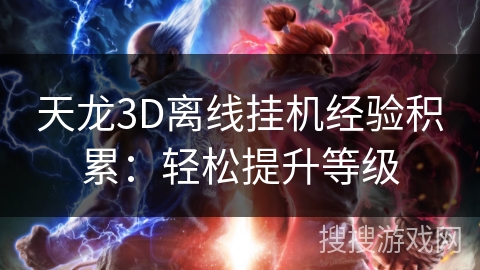 天龙3D离线挂机经验积累：轻松提升等级