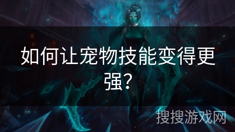 如何让宠物技能变得更强？