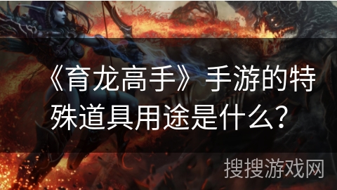 《育龙高手》手游的特殊道具用途是什么？
