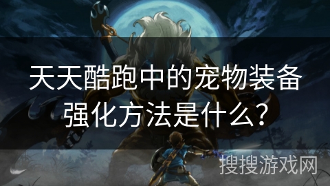 天天酷跑中的宠物装备强化方法是什么？