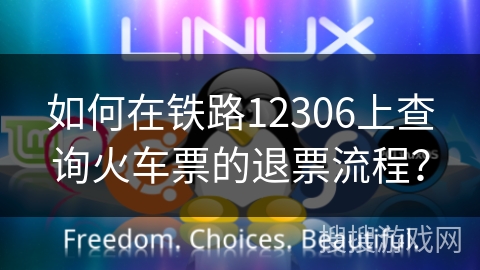 如何在铁路12306上查询火车票的退票流程？