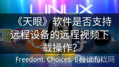 《天眼》软件是否支持远程设备的远程视频下载操作？