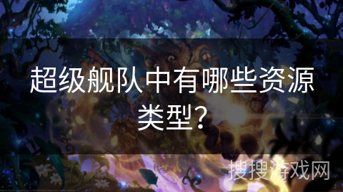 超级舰队中有哪些资源类型？