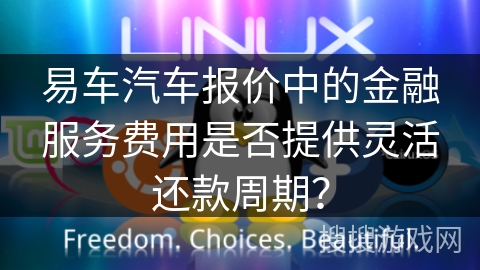易车汽车报价中的金融服务费用是否提供灵活还款周期？