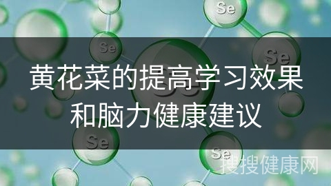 黄花菜的提高学习效果和脑力健康建议