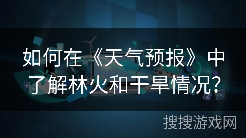 如何在《天气预报》中了解林火和干旱情况？
