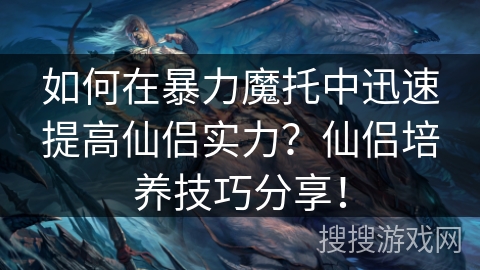 如何在暴力魔托中迅速提高仙侣实力？仙侣培养技巧分享！
