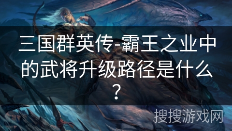 三国群英传-霸王之业中的武将升级路径是什么？