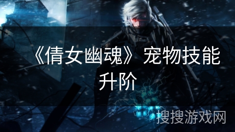 《倩女幽魂》宠物技能升阶