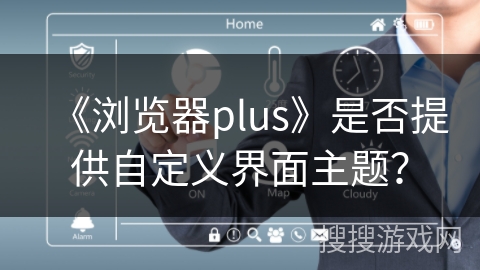 《浏览器plus》是否提供自定义界面主题？