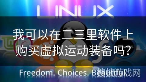 我可以在二三里软件上购买虚拟运动装备吗？
