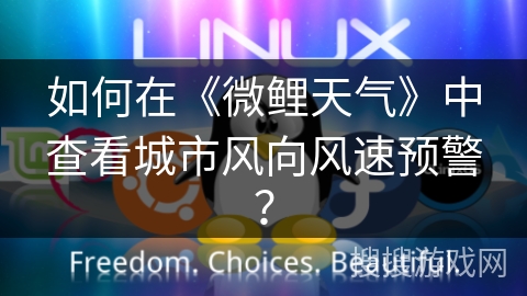 如何在《微鲤天气》中查看城市风向风速预警？