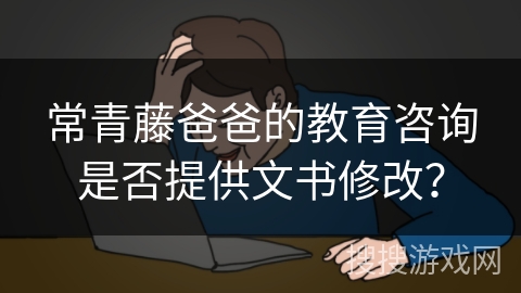 常青藤爸爸的教育咨询是否提供文书修改？