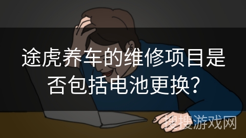 途虎养车的维修项目是否包括电池更换？