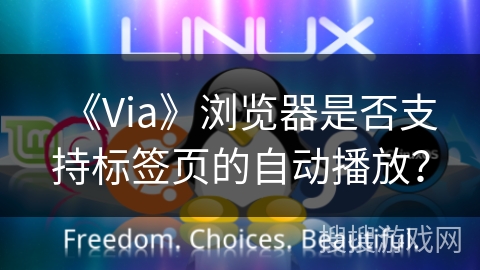 《Via》浏览器是否支持标签页的自动播放？