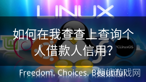 如何在我查查上查询个人借款人信用？
