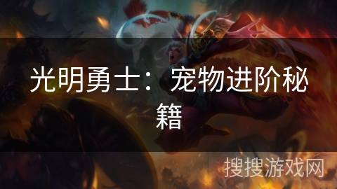 光明勇士：宠物进阶秘籍