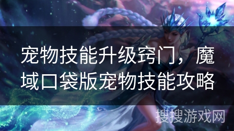 宠物技能升级窍门，魔域口袋版宠物技能攻略