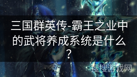 三国群英传-霸王之业中的武将养成系统是什么？
