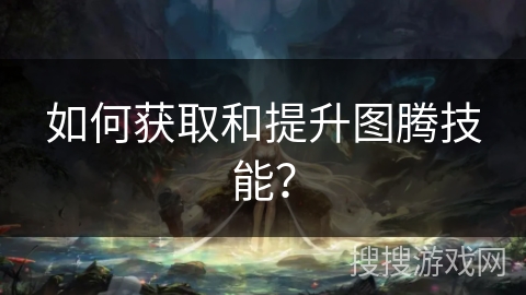 如何获取和提升图腾技能？