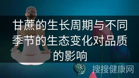 甘蔗的生长周期与不同季节的生态变化对品质的影响