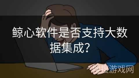 鲸心软件是否支持大数据集成？