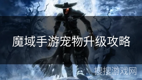 魔域手游宠物升级攻略