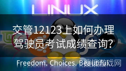 交管12123上如何办理驾驶员考试成绩查询？