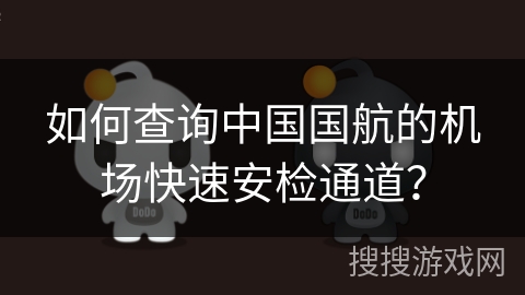 如何查询中国国航的机场快速安检通道? 如何查询中国国航的机场快速安检通道?