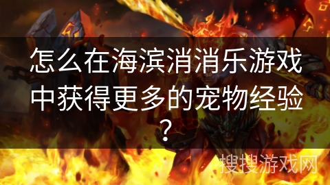 怎么在海滨消消乐游戏中获得更多的宠物经验？