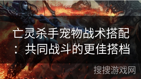 亡灵杀手宠物战术搭配:共同战斗的更佳搭档 亡灵杀手宠物战术搭配:共同战斗的更佳搭档