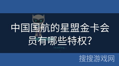 中国国航的星盟金卡会员有哪些特权? 中国国航的星盟金卡会员有哪些特权?