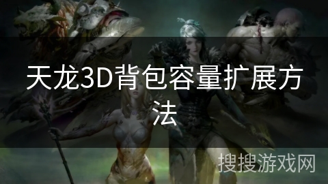 天龙3D背包容量扩展方法